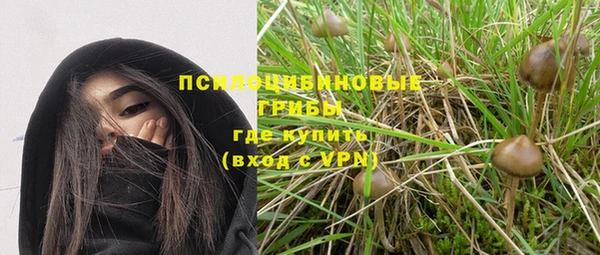 гидра Медвежьегорск