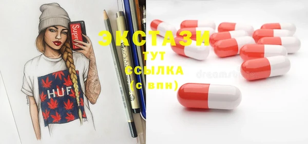 гидра Медвежьегорск