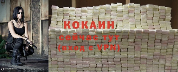 гидра Медвежьегорск